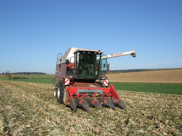 Maisdreschen 3