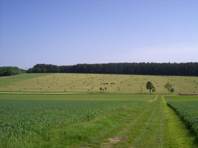 Rundballen Presse 5